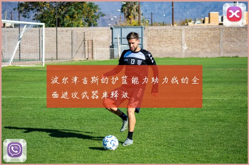波尔津吉斯的护筐能力助力我的全面进攻武器库释放